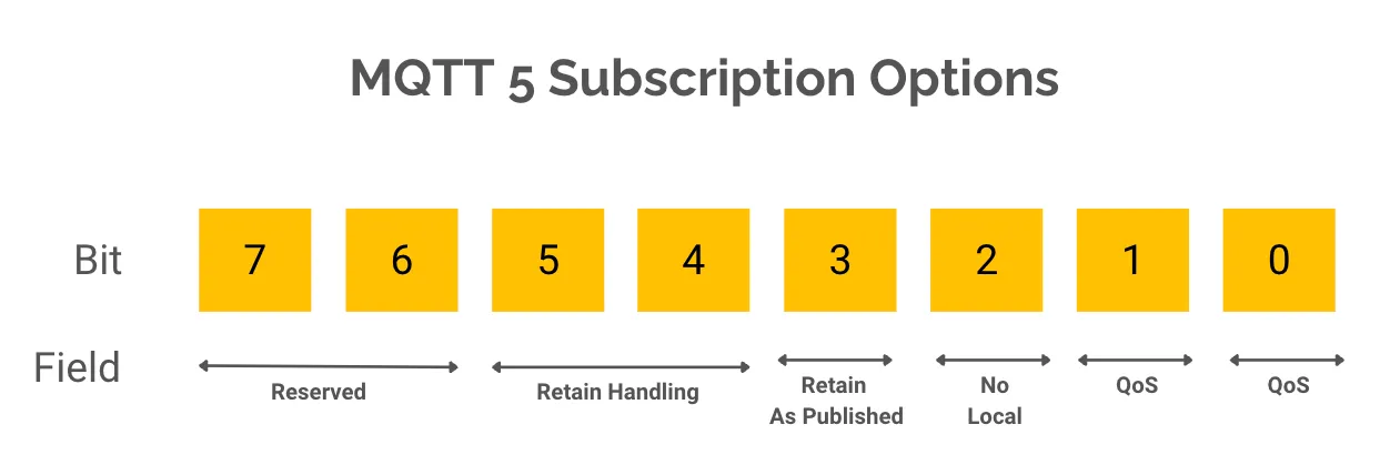 MQTT 5 Subscription Options