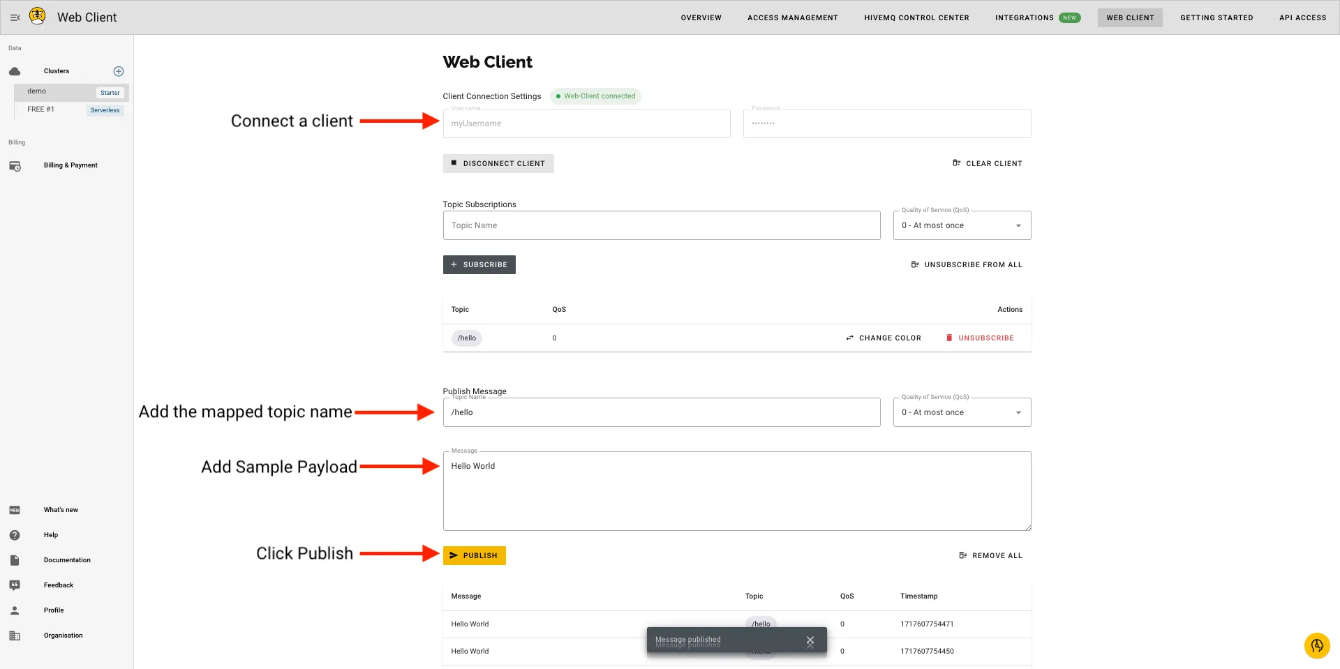 Validating the Data Flow with the Web Client